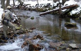 Foxgap Fishing on Jan 1