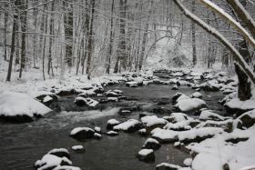 West Branch Perkiomen in Winter in the SGL