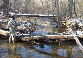 Foxgap fishin for brookies