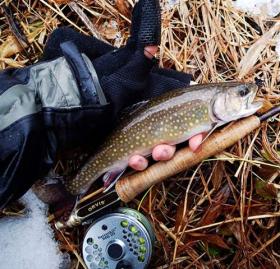 First Fish Of 2013