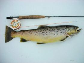 BIG brown