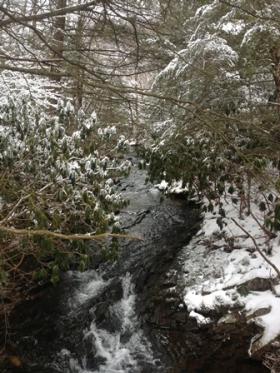 Small mountain stream
