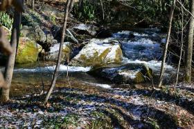 A Cold Fishless day