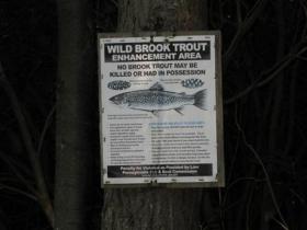 WBTEP sign