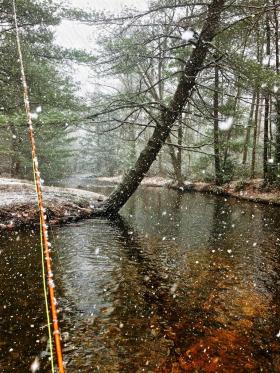 March Showers