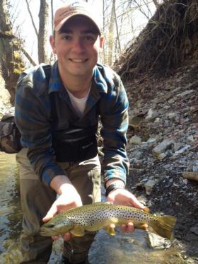 SouthEastern Pa Wild Brown