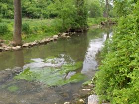 lititz run millport conservancy2