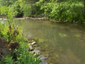 lititz run millport conservancy4
