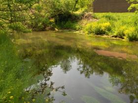 lititz run millport conservancy5