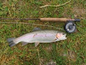 nice holdover bow