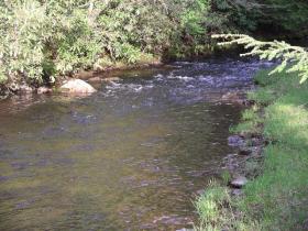 Black Moshannon