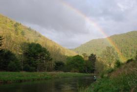 First Fork Rainbow