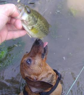 Ben qualifies for Bassmaster Classic!