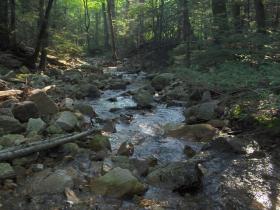 schuylkill  county brookie stream2