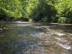 little schuylkill dhalo