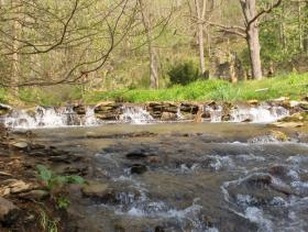 another sepa wild brown trout stream2