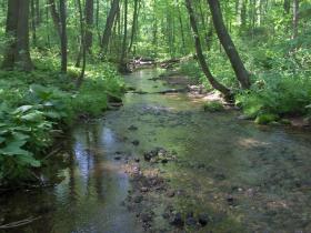 sepa wild brook/brown trout fishery4