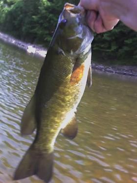 Perkiomen Smallie