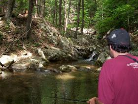 Fishing a small pool in Shenandoah