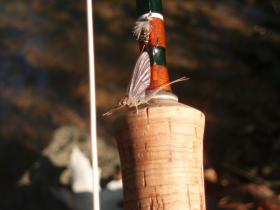 Little Lehigh Mayfly 10/28