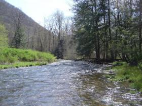 Young Woman's Creek