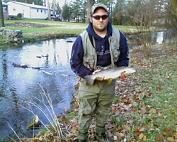 nice brownie