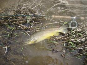 General fishing