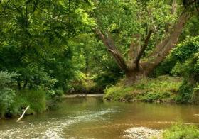 Valley Creek