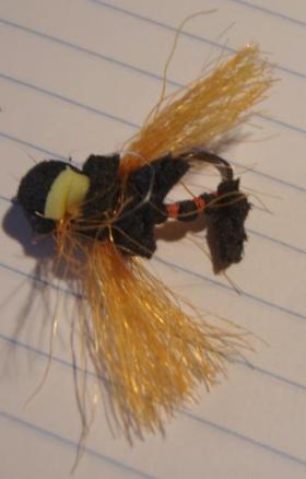 Mauled Cicada Fly