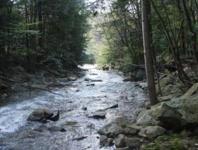 native stream in swpa