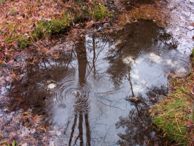 Bubbling Spring