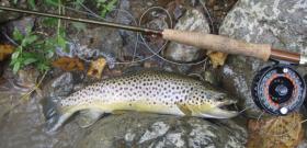 Penns Creek