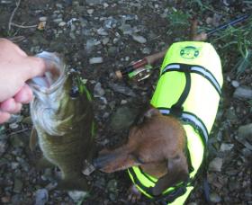 Ben with bass