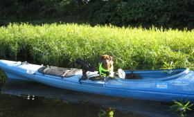 Weiner in a boat!
