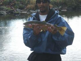 Little Lehigh Pig