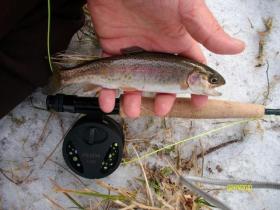 French Creek 1-11-09