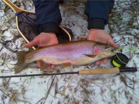 French Creek Lunker