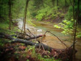 Mingo Park