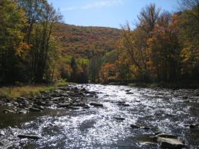 Fall on Penns Creek