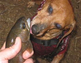 Ben with first fish of 2009!