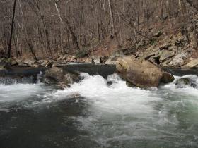 Savage River