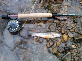 Easter Fishing