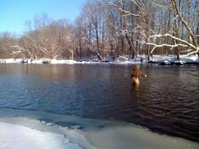 Winter Steel Fishing Pulaski, NY