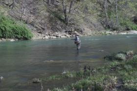 North Branch Potomac