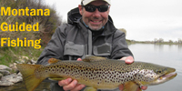 Montana Trout Anglers