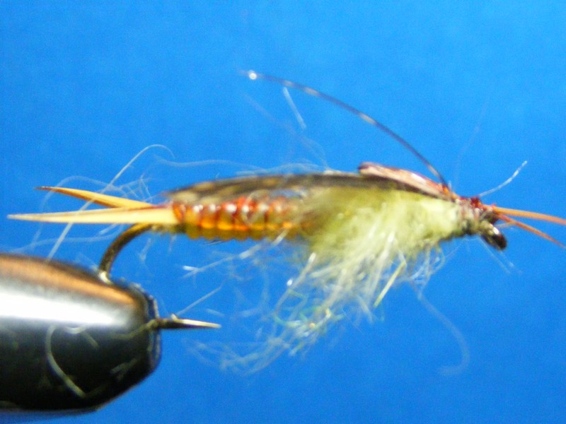 112_4f121ea9aa506.jpg 800X600 px