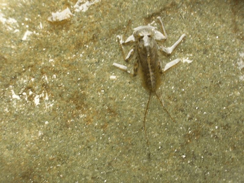 112_4f1325eda62b1.jpg 800X600 px