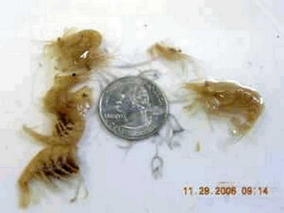 112_4f176edeeb24e.jpg 400X300 px
