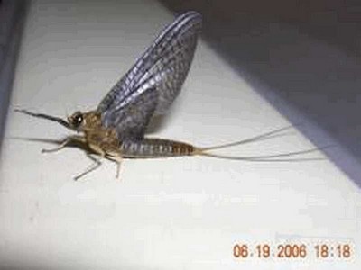 112_4f27d81ddee2b.jpg 400X300 px