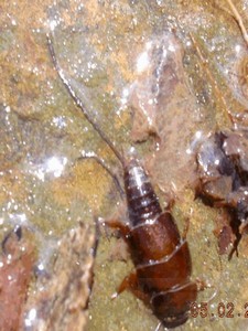 112_4f3c2085c5f6c.jpg 225X300 px
